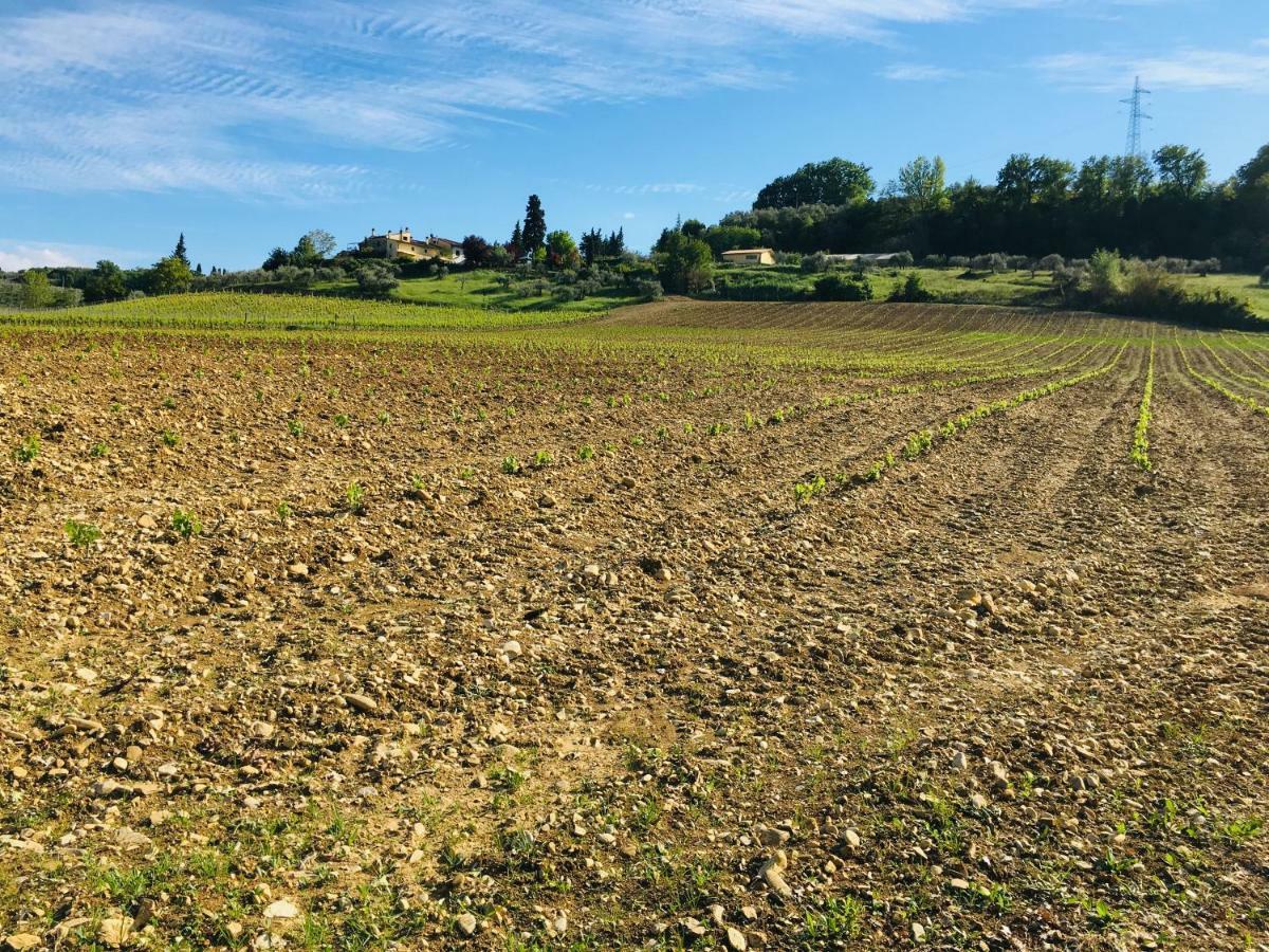 Agriturismo La Valle A Polvereto Tavarnelle Val di Pesa Екстериор снимка