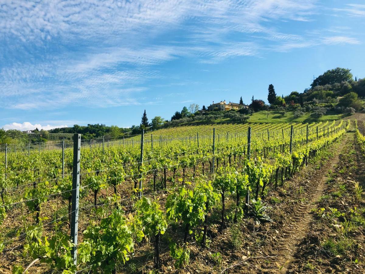 Agriturismo La Valle A Polvereto Tavarnelle Val di Pesa Екстериор снимка
